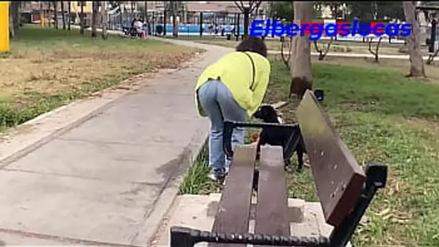 Met a girl in the park &mdash;  used my cat as an excuse &mdash;  she loved the surprise and we ended up fucking with a creampie