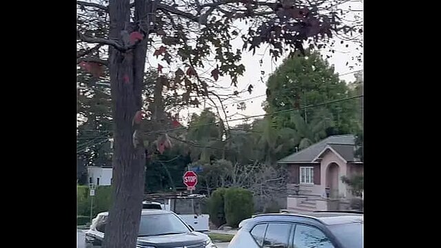 Blonde MILF flashes her perfect tits and cute ass in LA