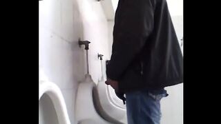 public toilet 4 HD