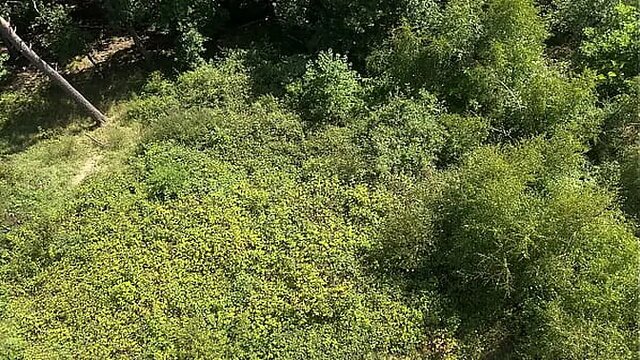 Blonde milf with giant ass takes giant cock in risky public POV