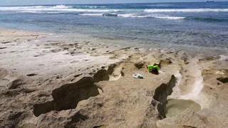 Blowjobs in Bikinis: Banana-Fueled Orgy on the High Tide Highway